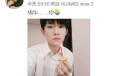 娱乐圈吃瓜talk易烊千玺,娱乐圈的瓜田，他的成长与蜕变